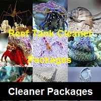 Reef cleanup crew packages