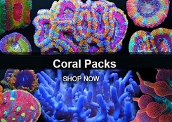 Coral Packages
