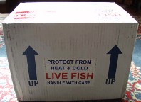 Image shows Aquarium Creations Marine Life Package Ready to be Shipped Out.